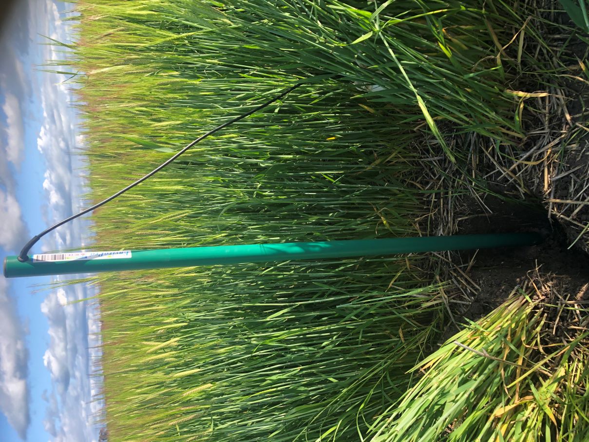 Soil Moisture Monitoring | BushLinx® — Integrated Irrigation